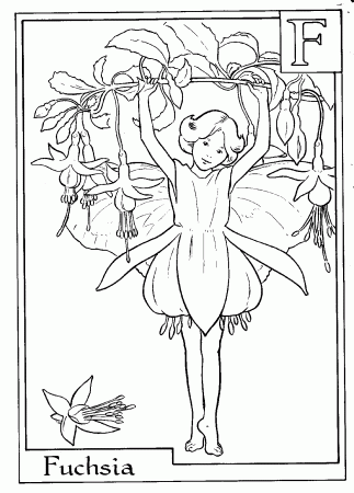 Flower Fairies Coloring Pages | Coloring Pages *Dover | Pinterest ...