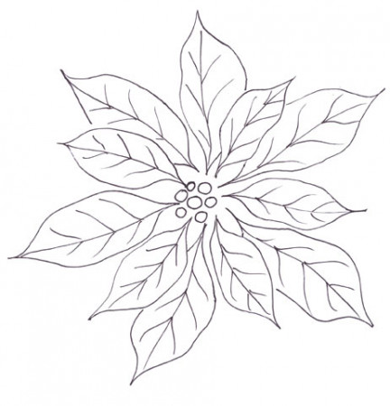 Poinsettia Outline Clipart