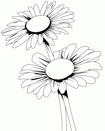 Daisy Flower Coloring Pages – coloring.rocks!