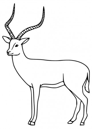 Free Printable Impala Coloring Page - Free Printable Coloring Pages for Kids