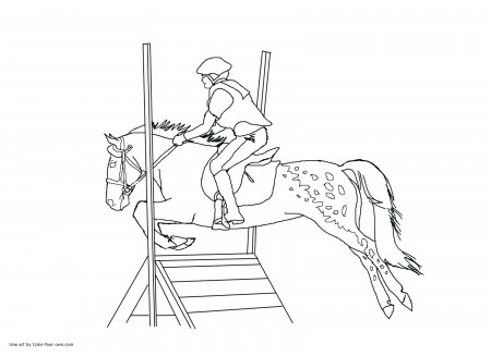 Horse Riding Coloring Pages At Getdrawings Free Download - 3300*2400 - Png  Download - Free Transparent Background
