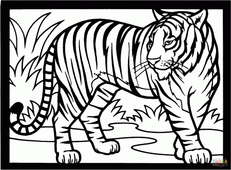 Tigers coloring pages | Free Coloring Pages