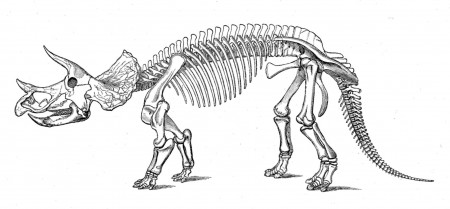 click the dinosaur bones coloring pages to view printable version ...