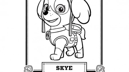 PAW Patrol|PAW Patrol - Meet Skye: Colouring Pages for Preschoolers