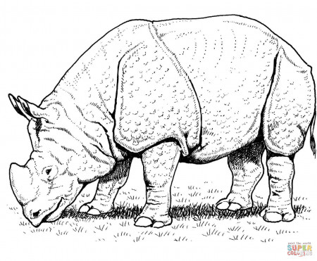 Indian Rhino coloring page | Free Printable Coloring Pages