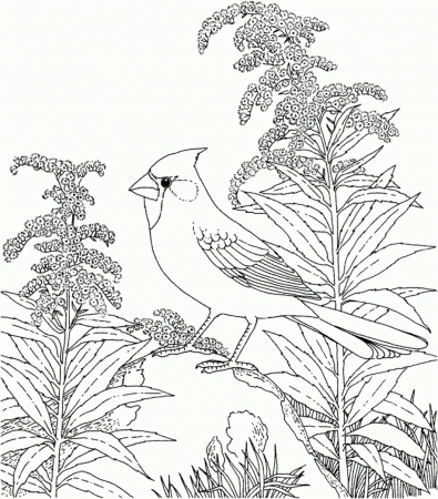 Free Coloring Pages Of Nature Scene Nature Themed Coloring Sheets ...