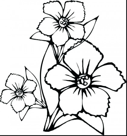 coloring : Tremendous Spring Flowers Coloring Pages For Adults Large  Floweribiscus Big Colouring Free Printable 46 Tremendous Spring Flowers  Coloring Pages For Adults ~ Coloring Cascadiasfault
