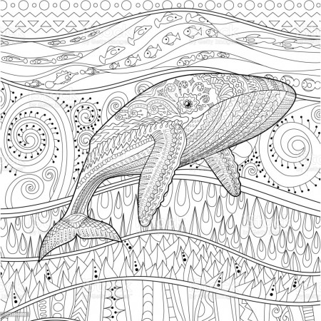 Coloring Pages For Adult With Blue Whale Stock Illustration - Download  Image Now - iStock