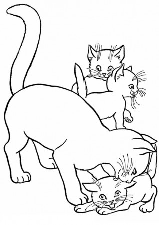 Coloring Pages | Baby Cat Playing with her mother coloring page