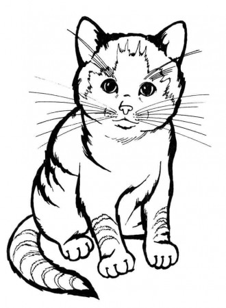 Realistic Cat Coloring Pages Printables | Раскраски с животными, Раскраски,  Кошачий рисунок