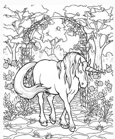 Unicorn Coloring Pages for Adults - Best Coloring Pages For Kids | Unicorn  coloring pages, Horse coloring pages, Animal coloring pages