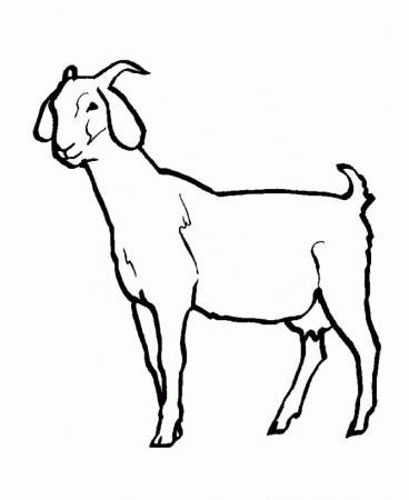 Animal coloring pages goat Animal coloring pages goat ...