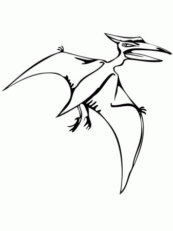 Pteranodon Flying Reptile Coloring Page | Coloring Sun