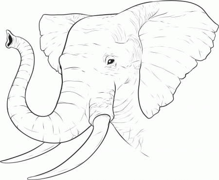 Realistic Elephant Face Coloring Page