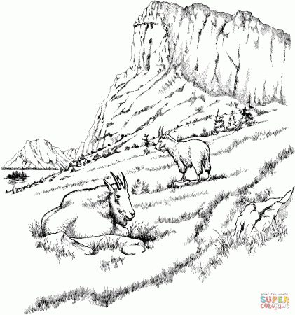 Two Mountain Goats coloring page | Free Printable Coloring Pages
