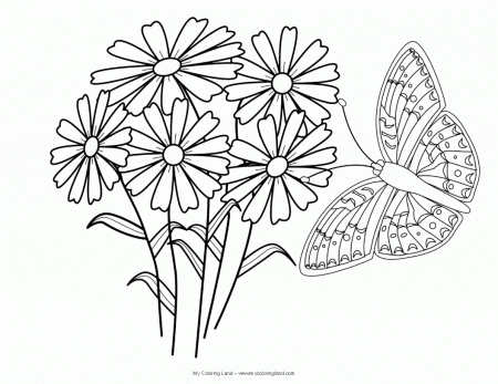 Best Photos of Butterfly With Flowers Coloring Pages - Butterfly ...