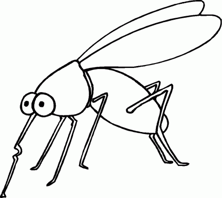 6 Pics of Insect Coloring Pages For Kids - Bugs and Insects ...