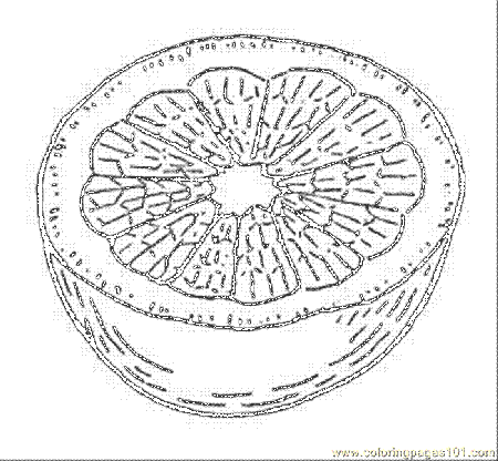 Orange 7 Coloring Page - Free Oranges Coloring Pages ...