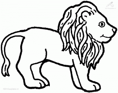 lion coloring pages : Printable Coloring Sheet ~ Anbu Coloring 