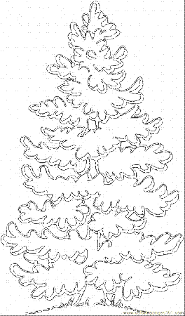Coloring Pages Pine Tree 1 (Natural World > Trees) - free 
