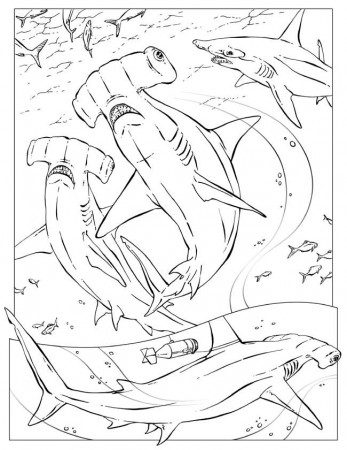 Happy Ocean Animals Coloring - Kids Colouring Pages
