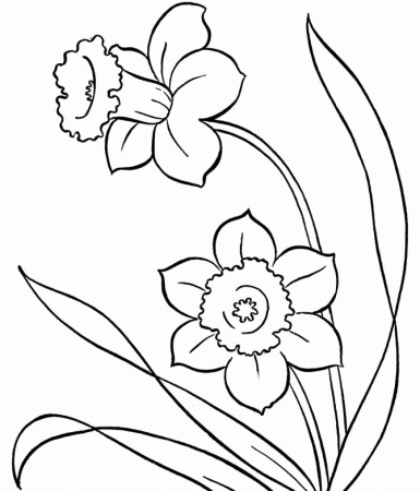 Spring Flowers Colouring Pages Printout - Spring Coloring Pages 