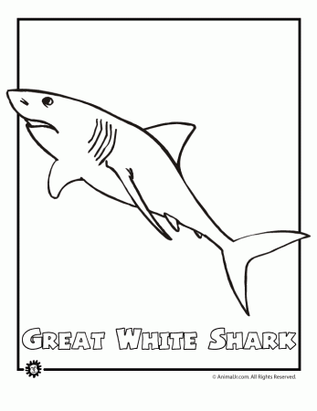 ocean animal coloring pages great white shark endangered