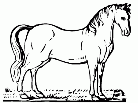 Horses coloring pages 9 / Horses / Kids printables coloring pages