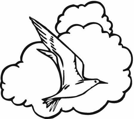 Seagull Is Flying Coloring Online Super Coloring 163795 Seagull 