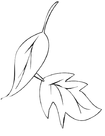 Autumn Leaf Coloring Pages 443 | Free Printable Coloring Pages