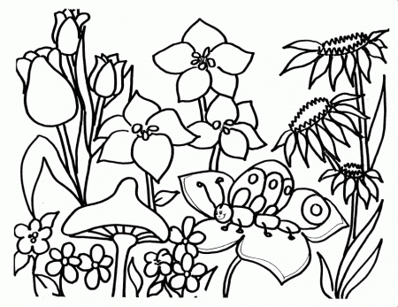 Flower Coloring Pages For Adults - Free Coloring Pages For 