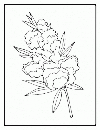 asovislan: flower coloring pages for adults