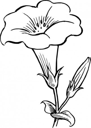 Clip art flowers outline | Free Reference Images
