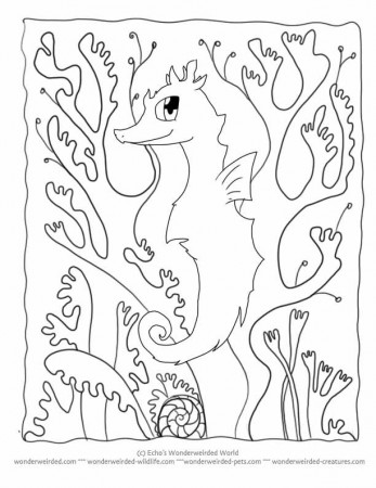 Cartoon Animals Coloring Pages Seahorse, Fantasy Coloring Pages of ...