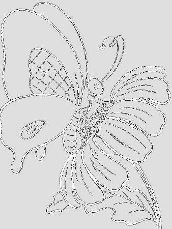 Butterfly And Sun Flower Coloring Print - Butterfly Cartoon 