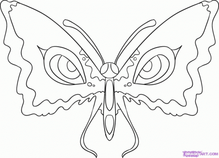 How to draw butterfly eyes step by step butterflies animals