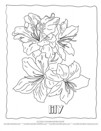 Flower Coloring Sheets A-Z,Free Printable Flower Coloring Pages