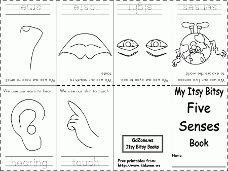 5 senses worksheet coloring page