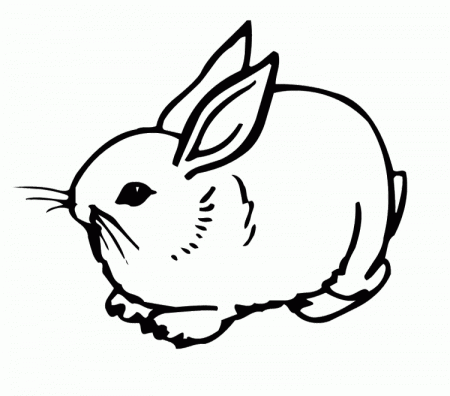 Coloring Book Pages Animals Rabbits Young Rabbit Sleep Hopping 