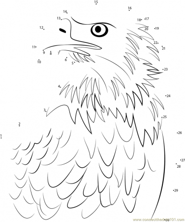 Connect the Dots Bald Eagle Portrait (Birds > Bald Eagle) - dot to 