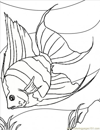 Coloring Pages Angelfish Ink (Animals > Fishes) - free printable 