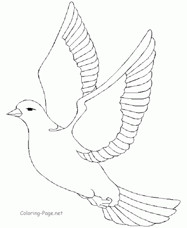 Birds in flight Colouring Pages