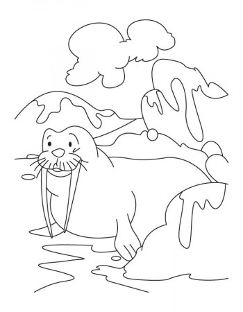 gingde toon dolphin Colouring Pages