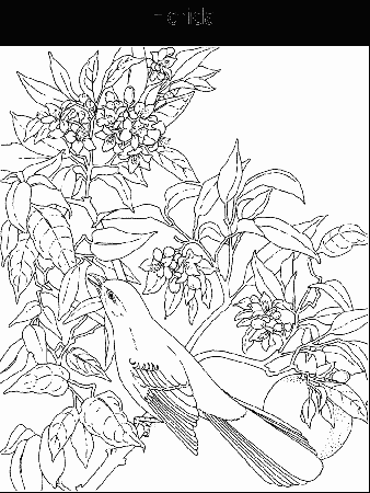 intricate flowers Colouring Pages (page 2)