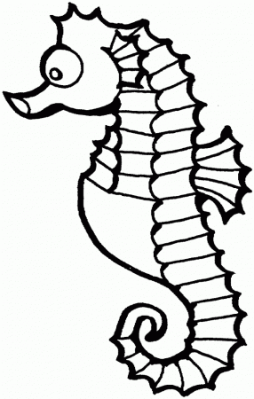 Seahorse Coloring Pages 5131 Label Cartoon Seahorse Coloring 