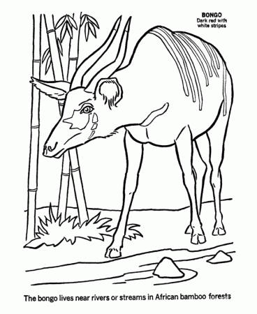 African Animals Coloring Pages | Free coloring pages