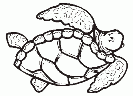 Hawaiian Turtle Outline | Clipart Panda - Free Clipart Images