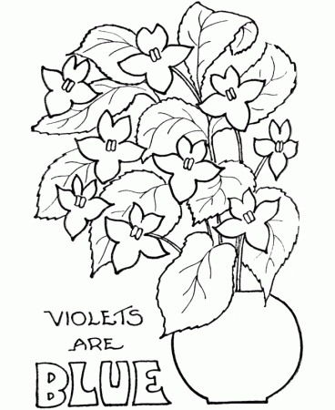 Valentine's Day Coloring Flowers - Violets are Blue Coloring Page 