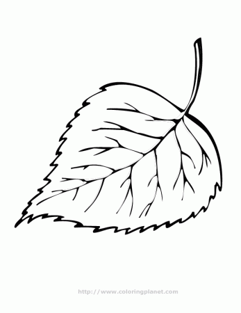 leaf printable coloring in pages for kids - number 1284 online