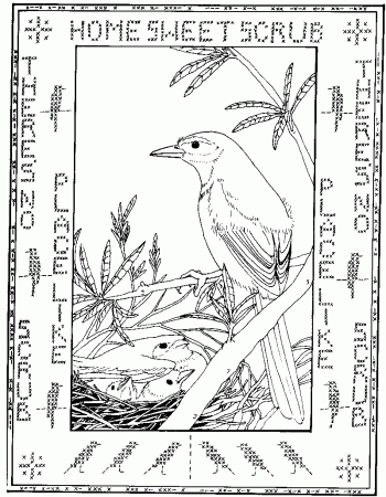 Florida Scrub Coloring Book-Contents, Archbold Biological Station